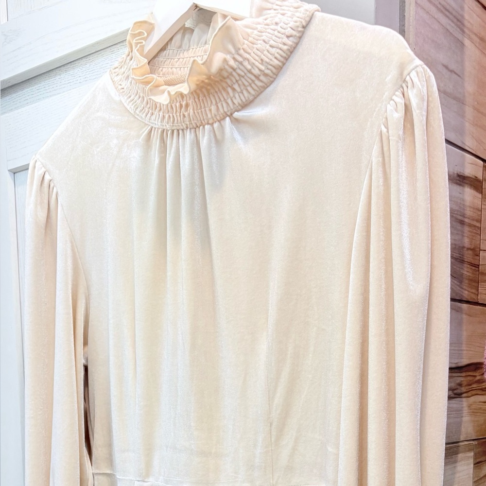 Elegant Cream Long Sleeve velvet  Dress